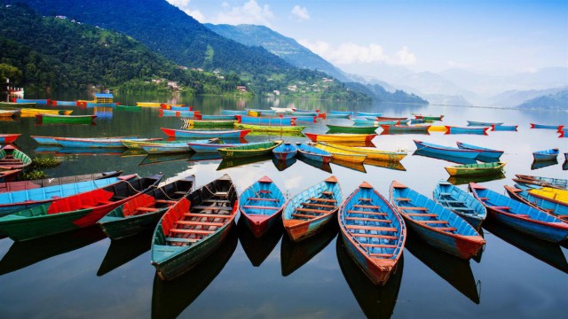 Amazon to the Andes