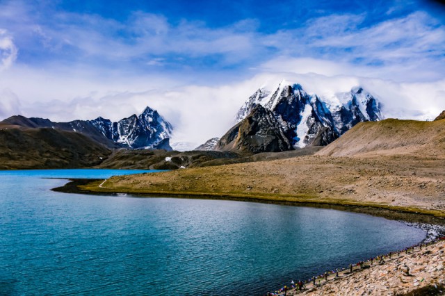 Amazon to the Andes